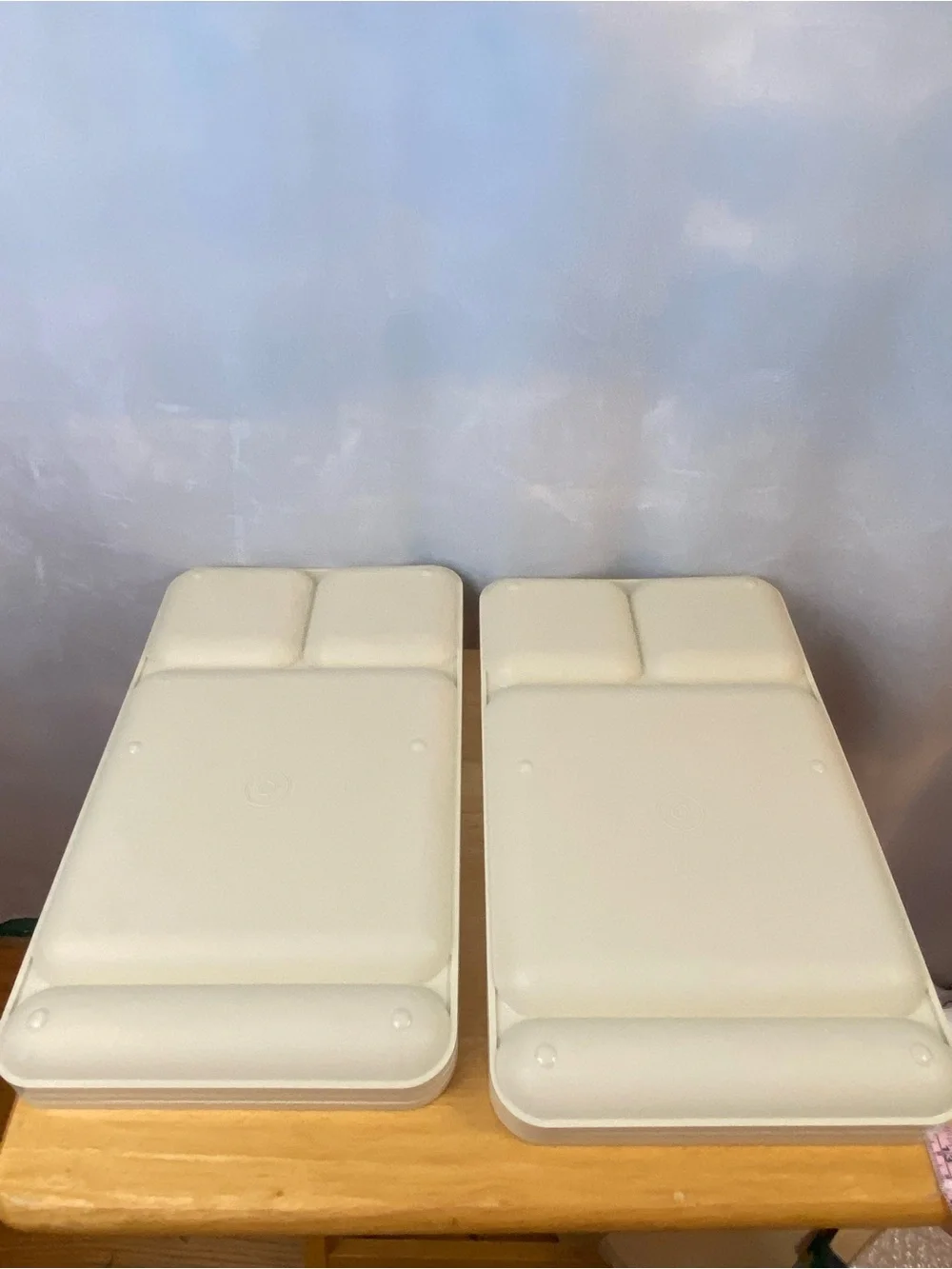 Vintage 1535 Tupperware Beige Compartment Food Trays Set of 6